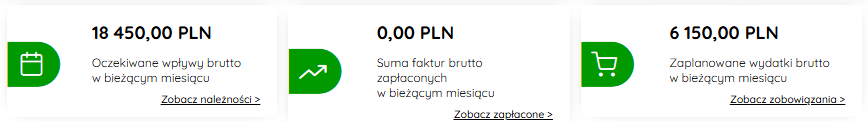 Podsumowanie płatności dla bieżącego miesiąca